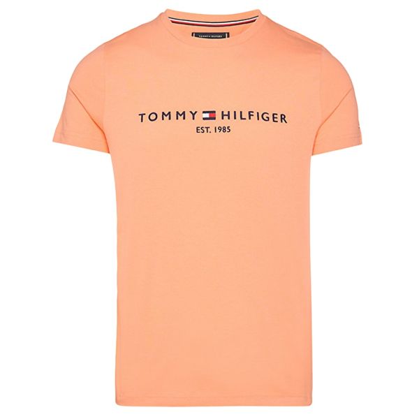 Tommy Hilfiger Logo T Shirt Licht Blauw Mezaldy