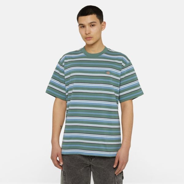 Dickies Glade Spring Stripe T-shirt Blauw/Groen