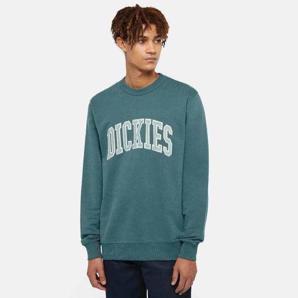 Dickies Aitkin Sweater Groen