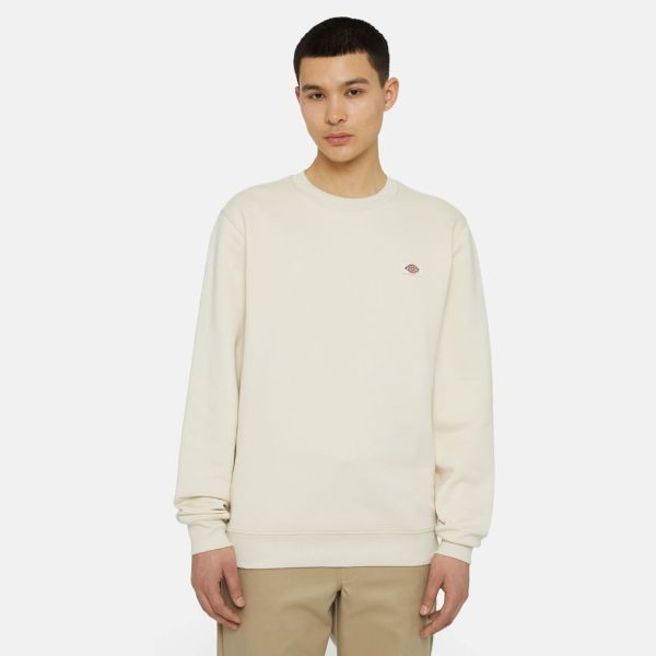 Dickies Oakport Sweater Off White