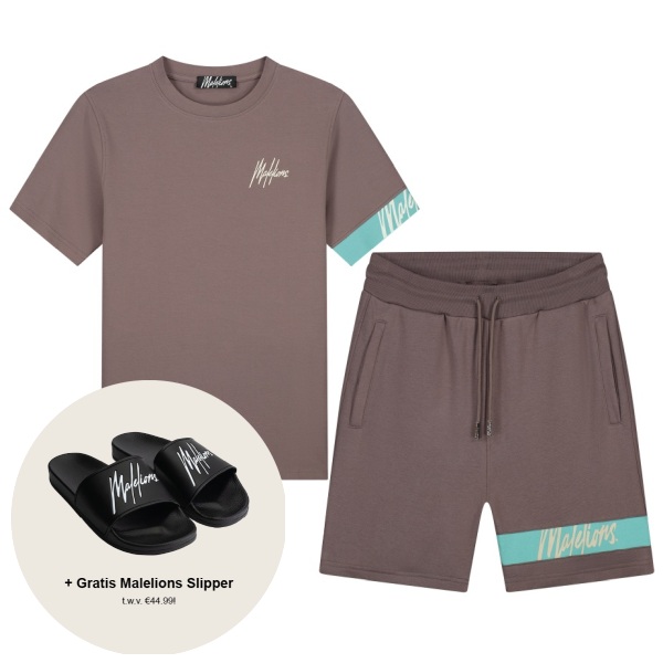 Malelions captain zomerset bruin