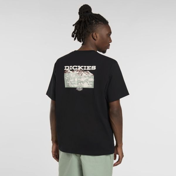 Dickies Landscape T-shirt Zwart