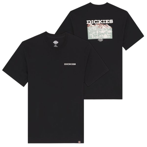 Dickies Landscape T-shirt Zwart