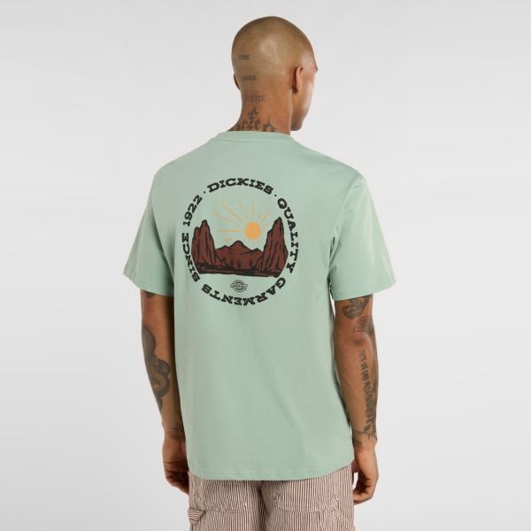 Dickies Outdoor T-shirt Groen