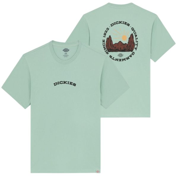 Dickies Outdoor T-shirt Groen