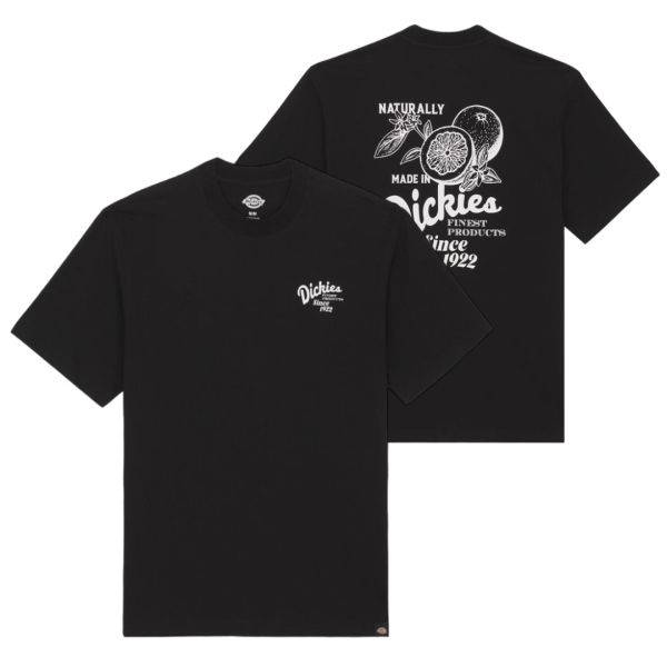 Dickies Raven T-shirt Zwart